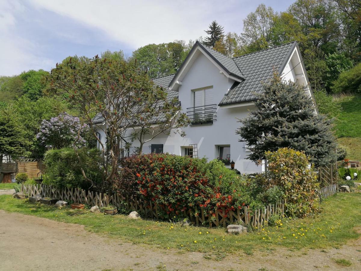 Aura Apartment Lewin Klodzki Exterior photo