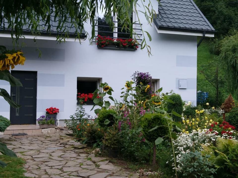 Aura Apartment Lewin Klodzki Exterior photo
