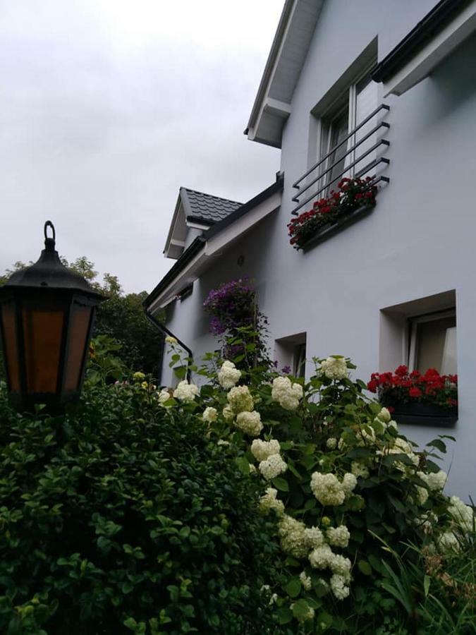Aura Apartment Lewin Klodzki Exterior photo